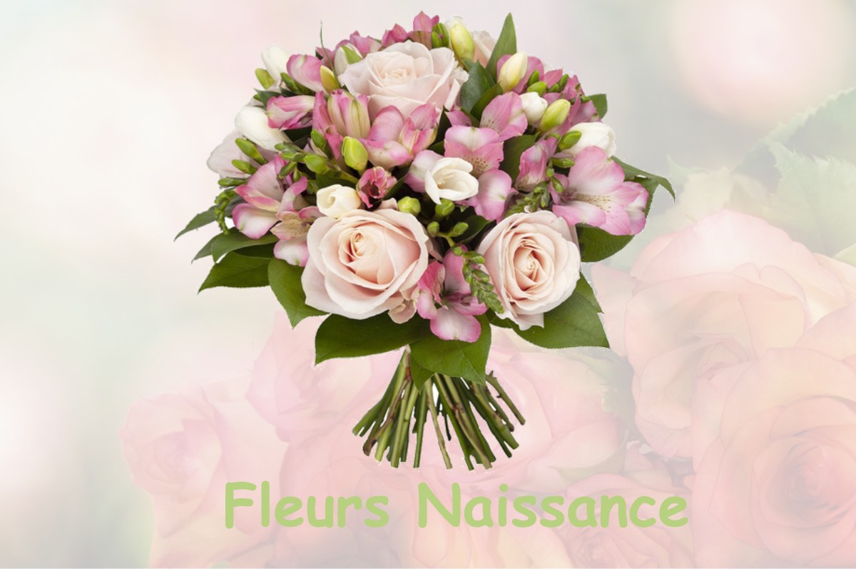 fleurs naissance CASTELNAU-DE-BRASSAC